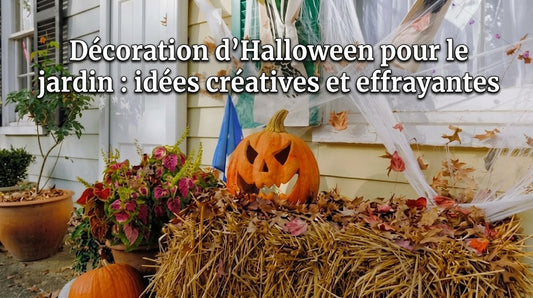 Décoration d’Halloween pour le jardin : idées créatives et effrayantes