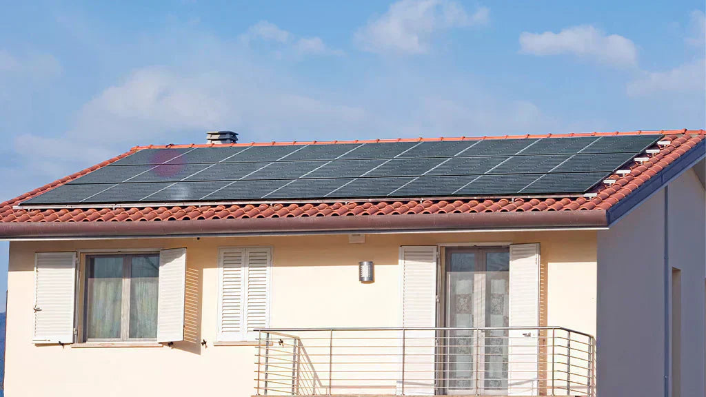 combien rapporte 1000 m2 de panneau solaire